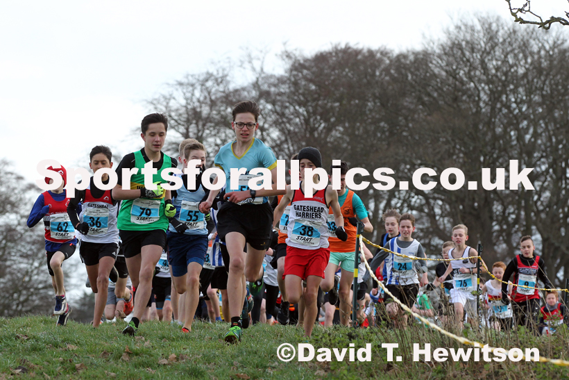 Boys under-13s cross country, 2019 North Eastern Cross Country Champs., Alnwick, Northumberland.  Photo: David T. Hewitson/Sports for All Pics
